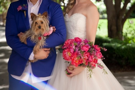 pink-blue-wedding-dog